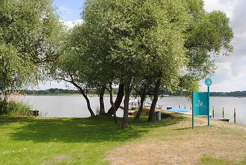 Grüne Wiese mit Bäumen und einer türkisfarbenen Inormationstafel am See in Semlin.