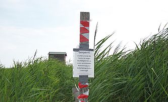 Ein Pfahl mit rot weißen Abperrband umwickelt vor einer grünen Wiese. Im Intergrund ein Beobachtungsturm aus Holz.