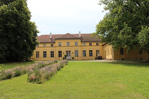 Im hintegrund ist das gelbe Gutshaus in Kleßen zu sehen. Seitlich stehen große Bäume und dvor ist eine grüne Rasenfläche.