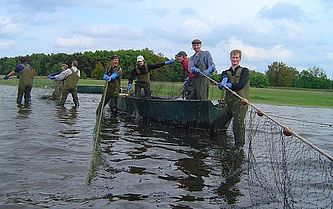 Zugnetzfischen, Foto: Günter Fischer